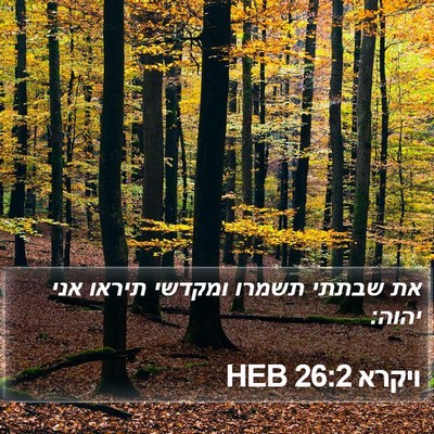 ויקרא 26:2 HEB Bible Verse Image