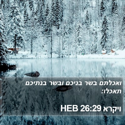 ויקרא 26:29 HEB Bible Verse Image