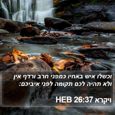 ויקרא 26:37 HEB Bible Verse Image