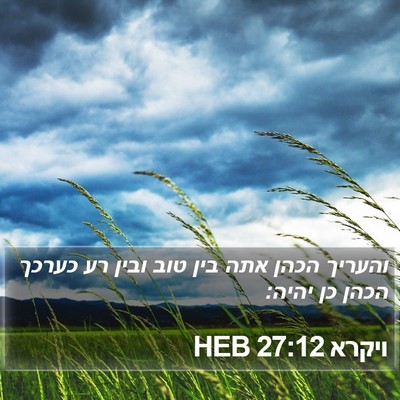 ויקרא 27:12 HEB Bible Verse Image