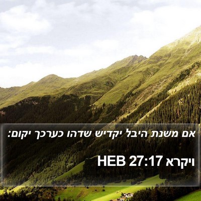ויקרא 27:17 HEB Bible Verse Image