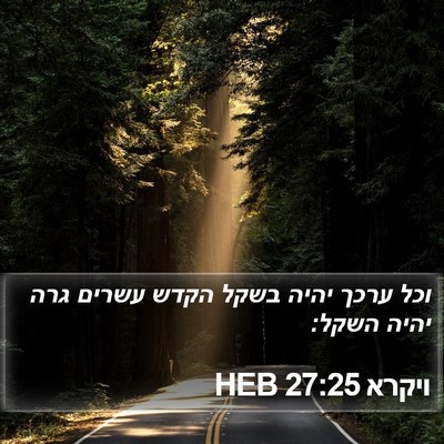 ויקרא 27:25 HEB Bible Verse Image