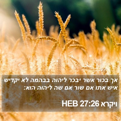 ויקרא 27:26 HEB Bible Verse Image