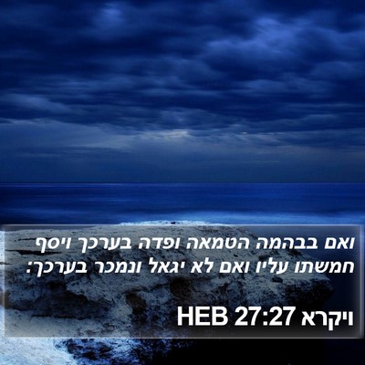 ויקרא 27:27 HEB Bible Verse Image