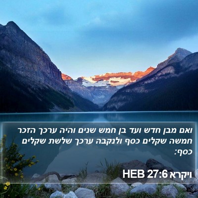 ויקרא 27:6 HEB Bible Verse Image