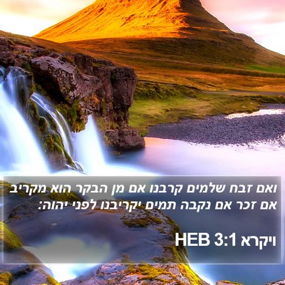 ויקרא 3:1 HEB Bible Verse Image