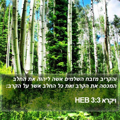 ויקרא 3:3 HEB Bible Verse Image