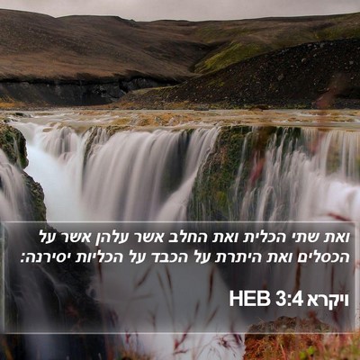ויקרא 3:4 HEB Bible Verse Image