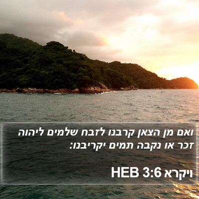 ויקרא 3:6 HEB Bible Verse Image