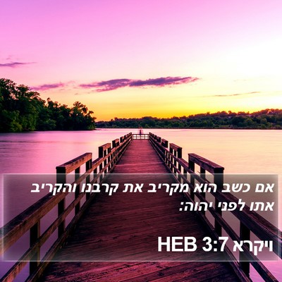 ויקרא 3:7 HEB Bible Verse Image