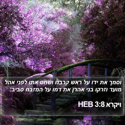 ויקרא 3:8 HEB Bible Verse Image