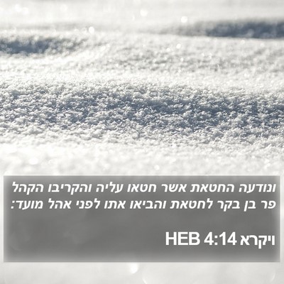 ויקרא 4:14 HEB Bible Verse Image