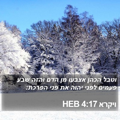 ויקרא 4:17 HEB Bible Verse Image