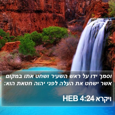 ויקרא 4:24 HEB Bible Verse Image