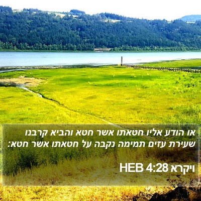 ויקרא 4:28 HEB Bible Verse Image