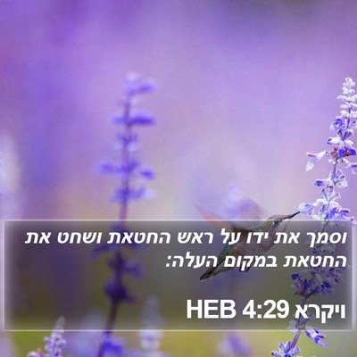 ויקרא 4:29 HEB Bible Verse Image