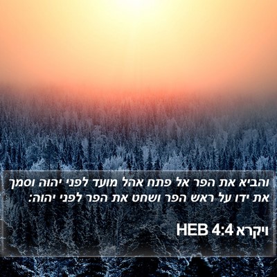 ויקרא 4:4 HEB Bible Verse Image