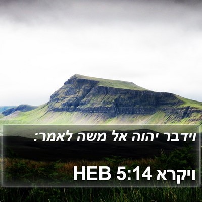 ויקרא 5:14 HEB Bible Verse Image