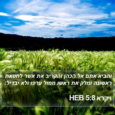 ויקרא 5:8 HEB Bible Verse Image