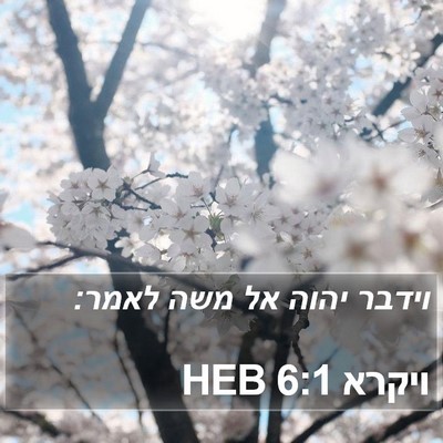 ויקרא 6:1 HEB Bible Verse Image