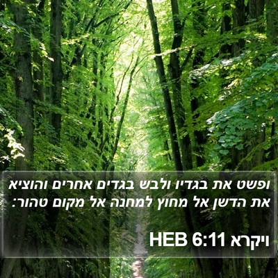 ויקרא 6:11 HEB Bible Verse Image