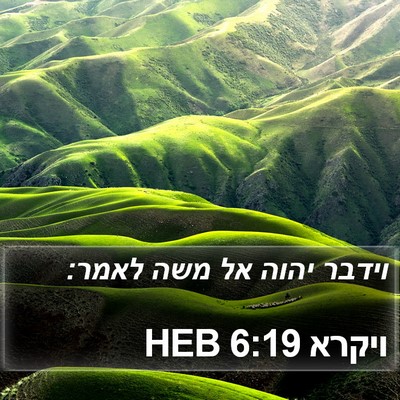 ויקרא 6:19 HEB Bible Verse Image