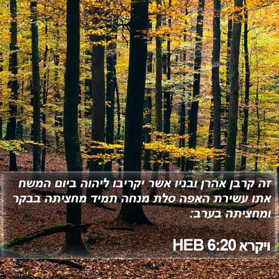 ויקרא 6:20 HEB Bible Verse Image