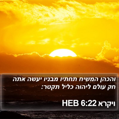 ויקרא 6:22 HEB Bible Verse Image