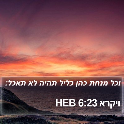 ויקרא 6:23 HEB Bible Verse Image