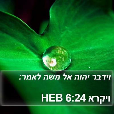 ויקרא 6:24 HEB Bible Verse Image