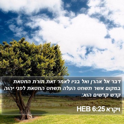 ויקרא 6:25 HEB Bible Verse Image