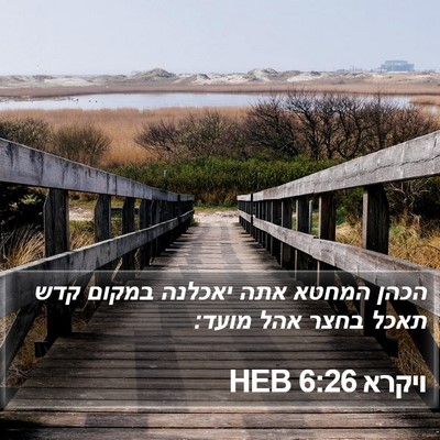 ויקרא 6:26 HEB Bible Verse Image