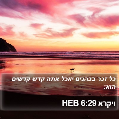 ויקרא 6:29 HEB Bible Verse Image