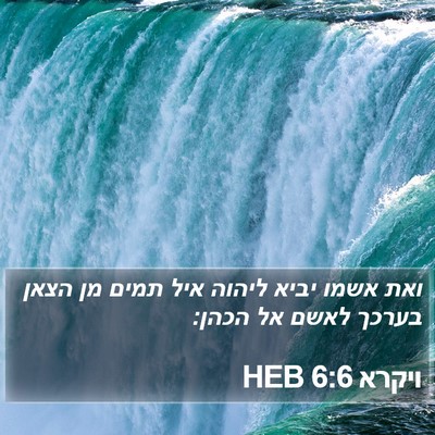 ויקרא 6:6 HEB Bible Verse Image