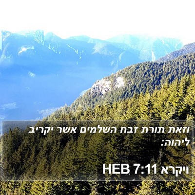 ויקרא 7:11 HEB Bible Verse Image