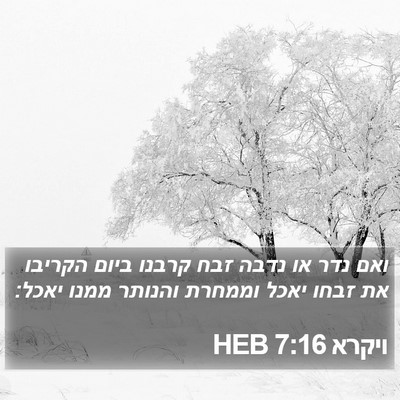 ויקרא 7:16 HEB Bible Verse Image