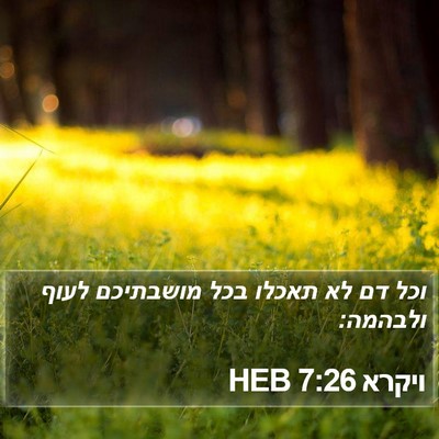 ויקרא 7:26 HEB Bible Verse Image