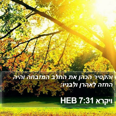 ויקרא 7:31 HEB Bible Verse Image