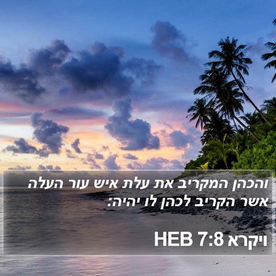 ויקרא 7:8 HEB Bible Verse Image