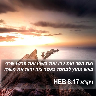 ויקרא 8:17 HEB Bible Verse Image