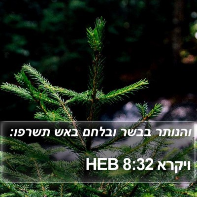 ויקרא 8:32 HEB Bible Verse Image