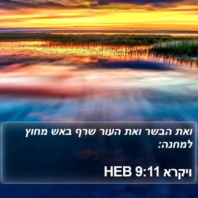 ויקרא 9:11 HEB Bible Verse Image
