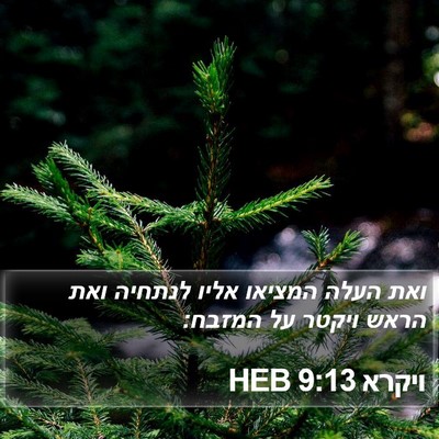 ויקרא 9:13 HEB Bible Verse Image