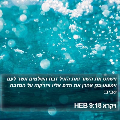 ויקרא 9:18 HEB Bible Verse Image