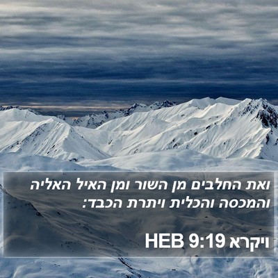 ויקרא 9:19 HEB Bible Verse Image
