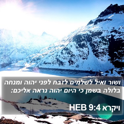 ויקרא 9:4 HEB Bible Verse Image