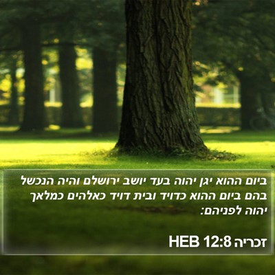 זכריה 12:8 HEB Bible Verse Image