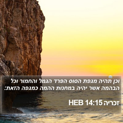 זכריה 14:15 HEB Bible Verse Image