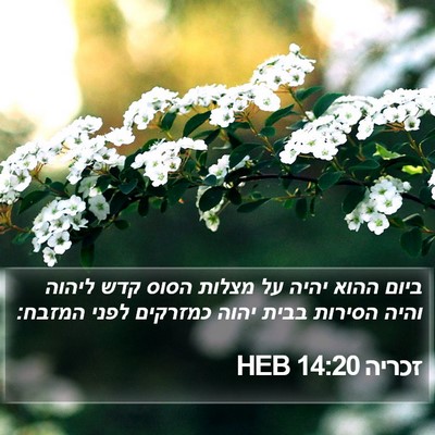 זכריה 14:20 HEB Bible Verse Image