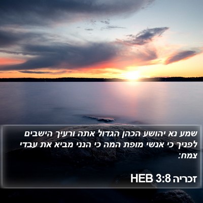 זכריה 3:8 HEB Bible Verse Image
